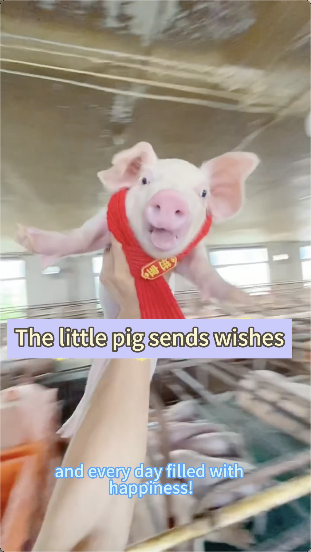 [Discount] Red Scarf