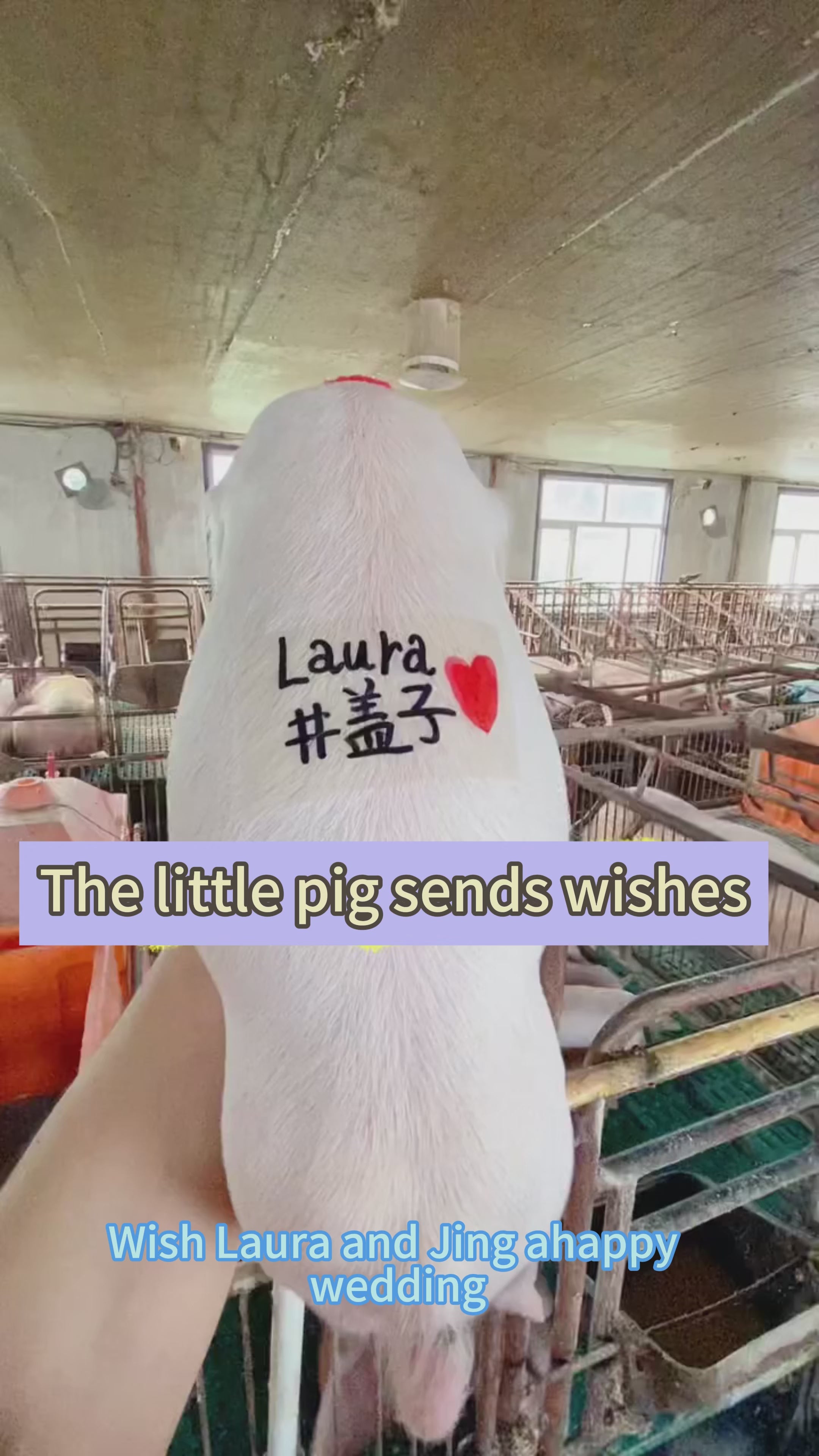 [Discount] Red Scarf